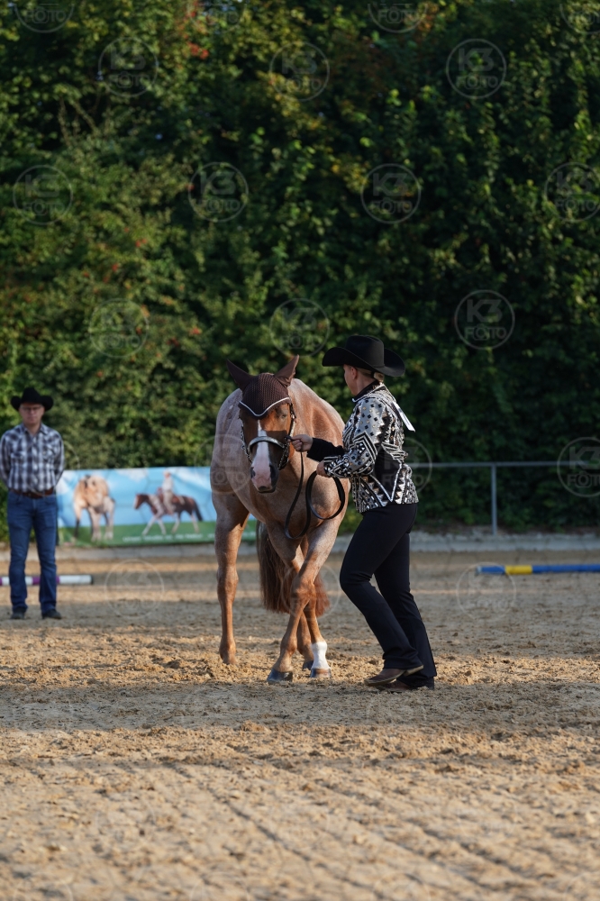 s_A9_09314.jpg
